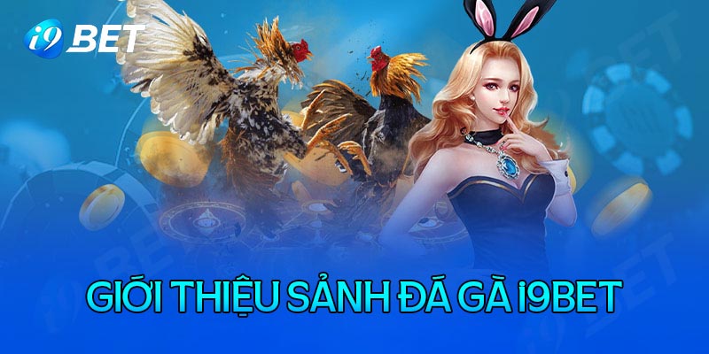 Game đá gà I9bet có bắt đầu như thế nào